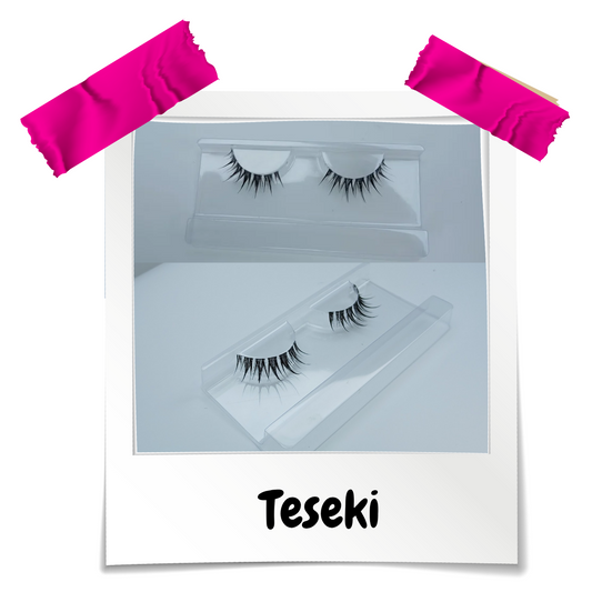 Teseki